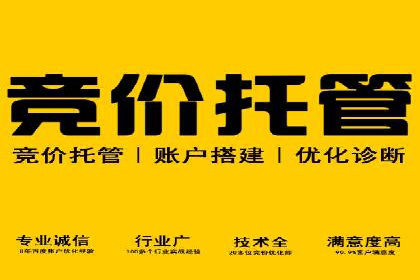 百度推广开户后如何进行数据分析与调整？